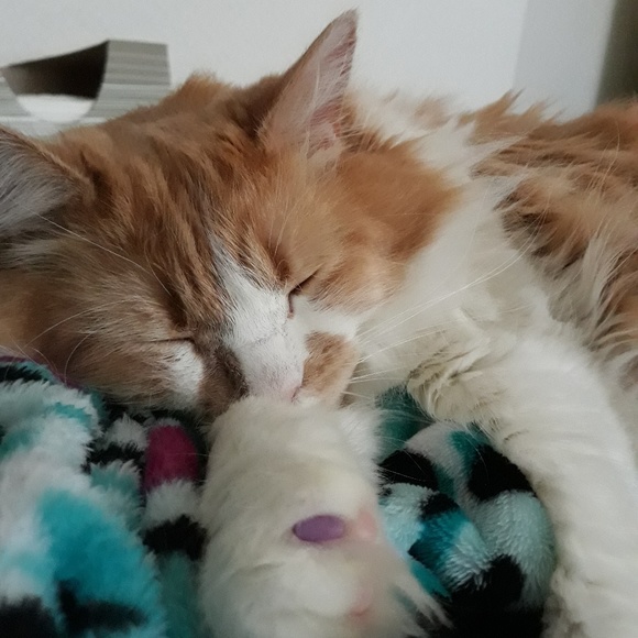 A little about me - Picture 2 of 3